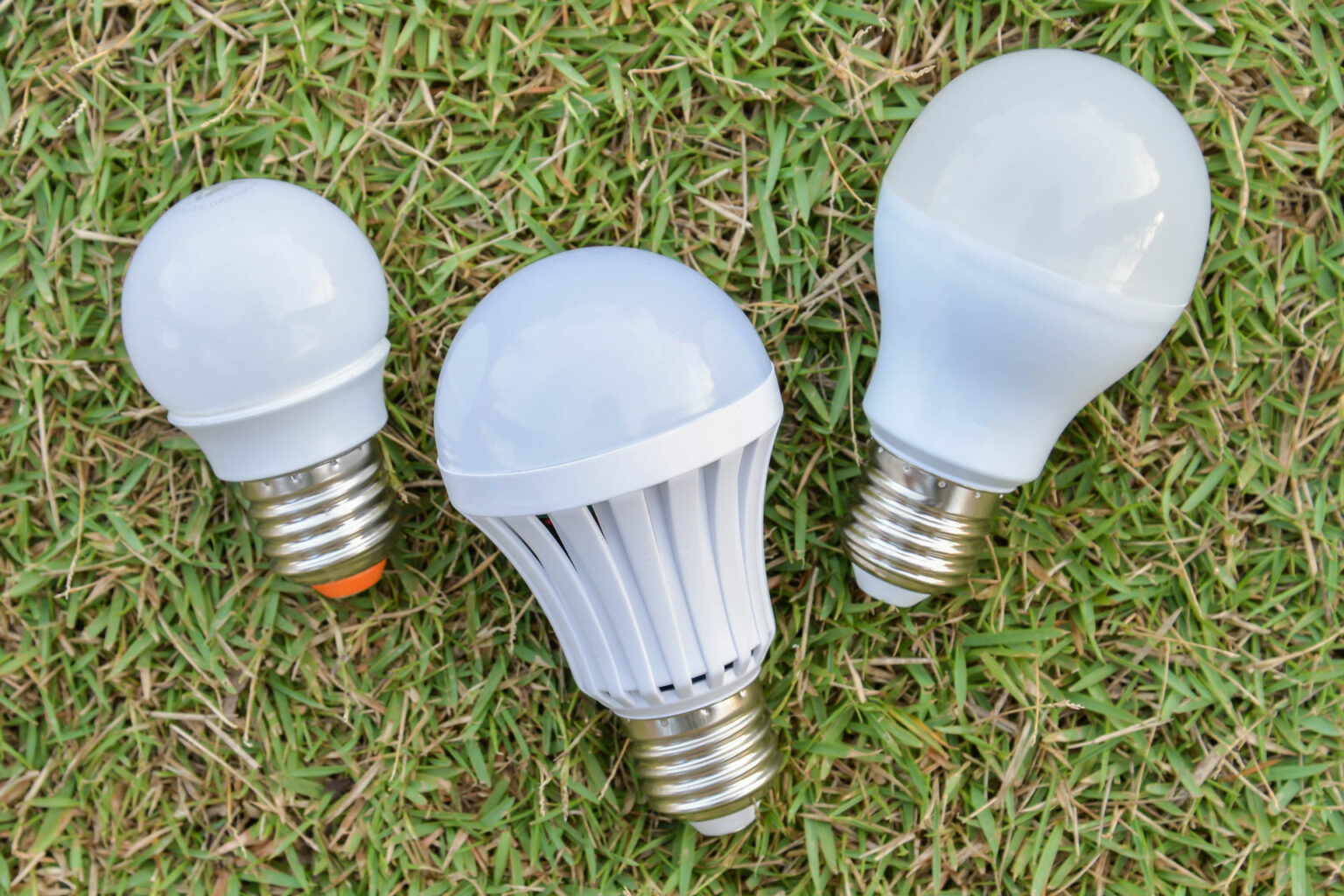 A19 vs A21 Bulb: What’s The Difference? - LampHQ