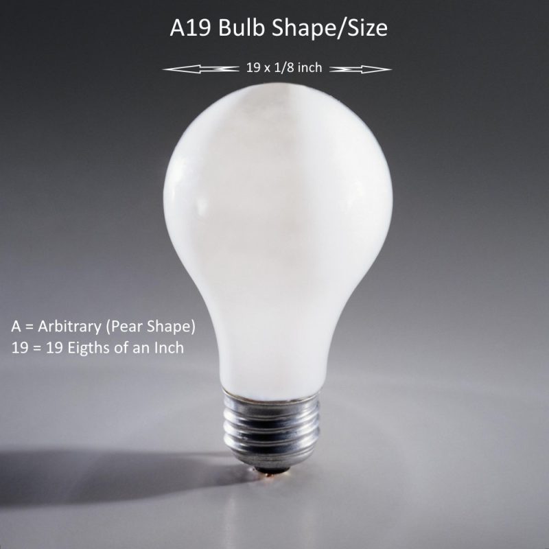 A19 Bulb Type for an E26 Bulb Base