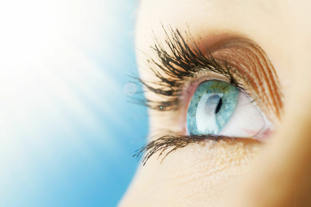 Dimmable vs. NonDimmable LED Lights LampHQ