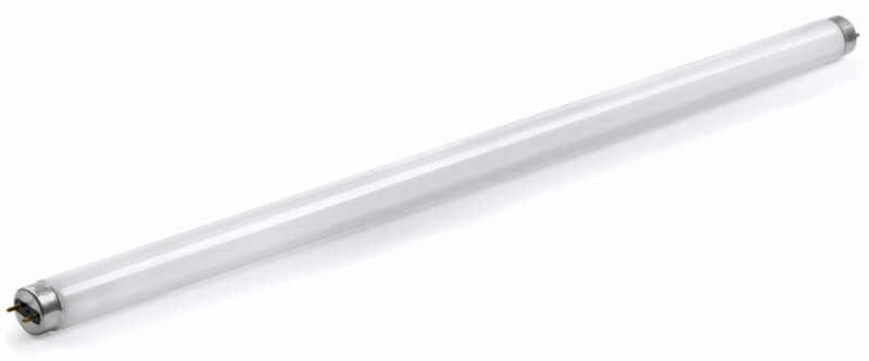 classic fluorescent tube