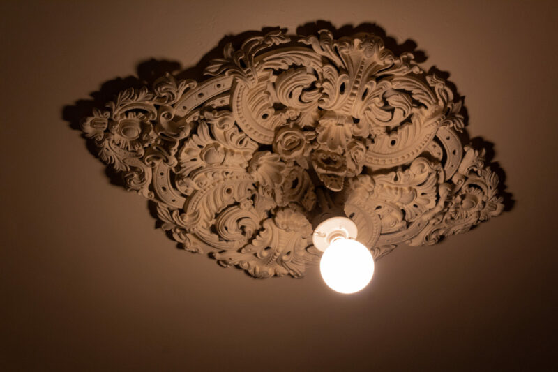 extravagant ceiling medallion light