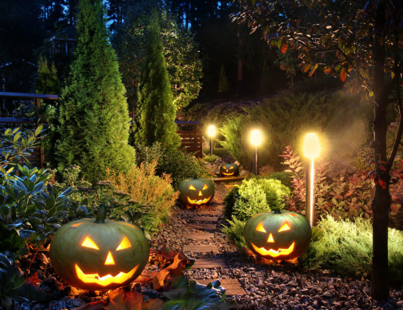 halloween lighting idea for your garden