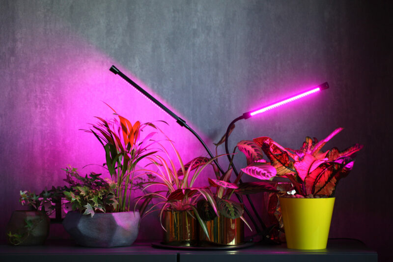 plant lights with LED technology