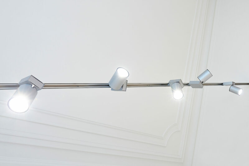 track light with multiple track heads